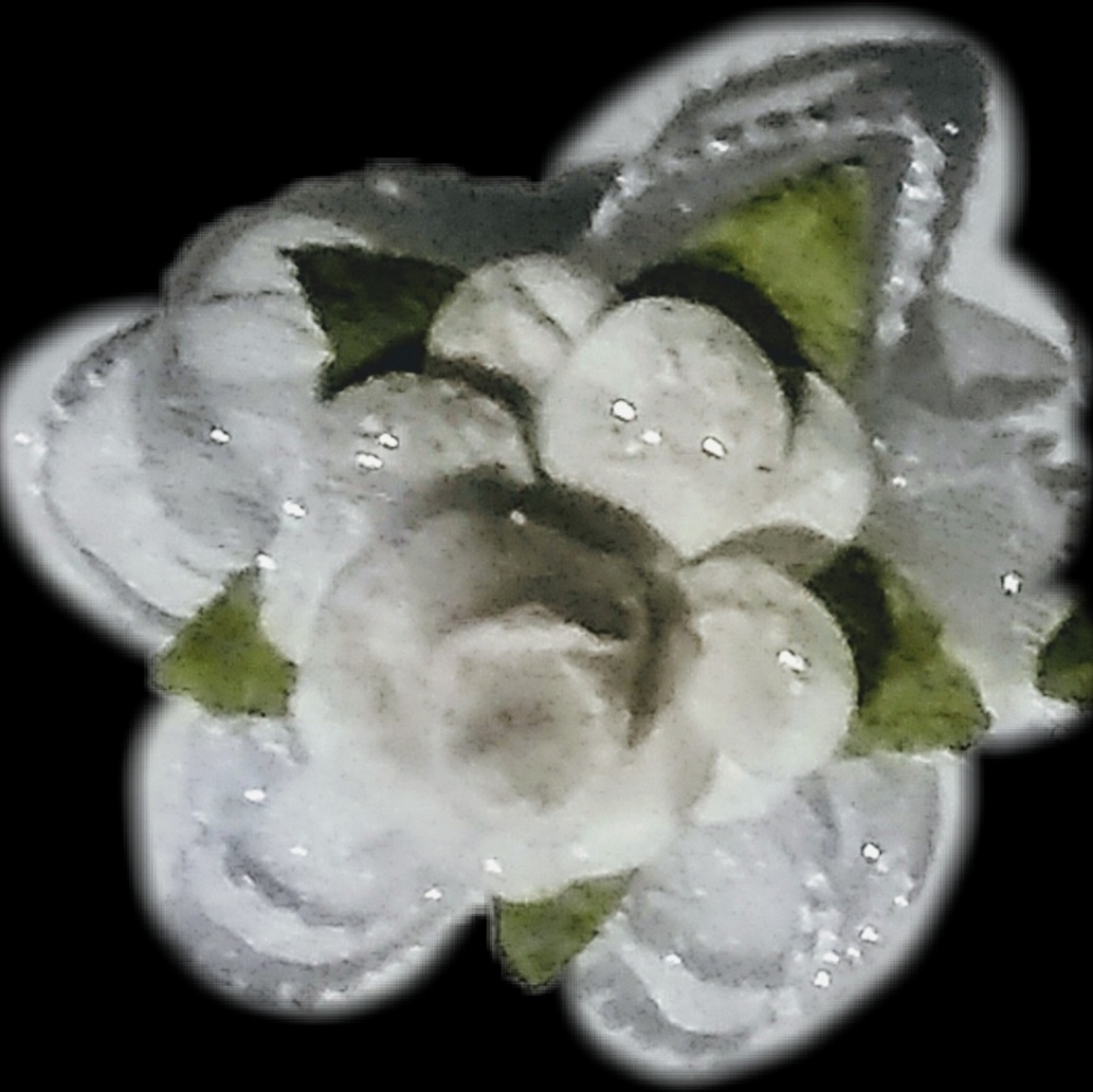WHITE ROSE OF PEACE - Picture 5 of 6